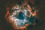 Rosette Nebula Poster och Canvastavla