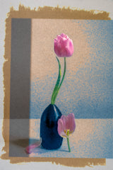 A Study in Contrast Poster och Canvastavla