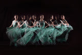 Whirling  Ballerina Poster och Canvastavla