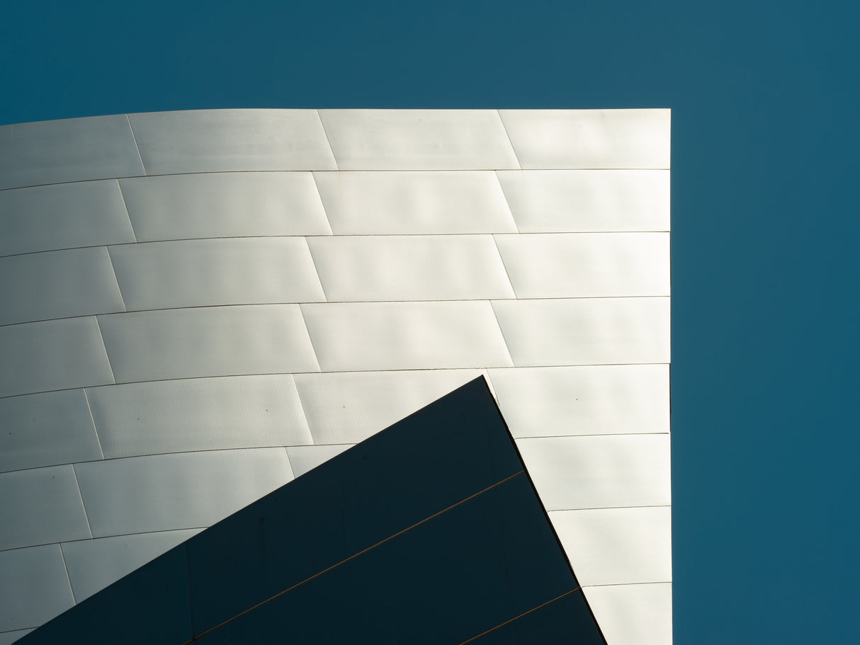 Gehry Poster och Canvastavla