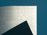 Gehry Poster och Canvastavla