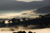 Morning mist Poster och Canvastavla