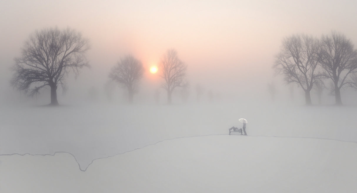 In the Mist Poster och Canvastavla