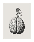 Brain Bloom Poster och Canvastavla