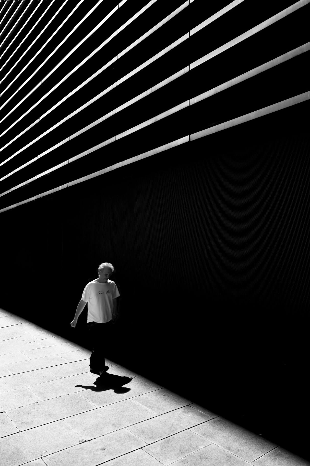 Between  shadow and light Poster och Canvastavla