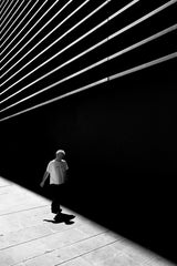 Between  shadow and light Poster och Canvastavla
