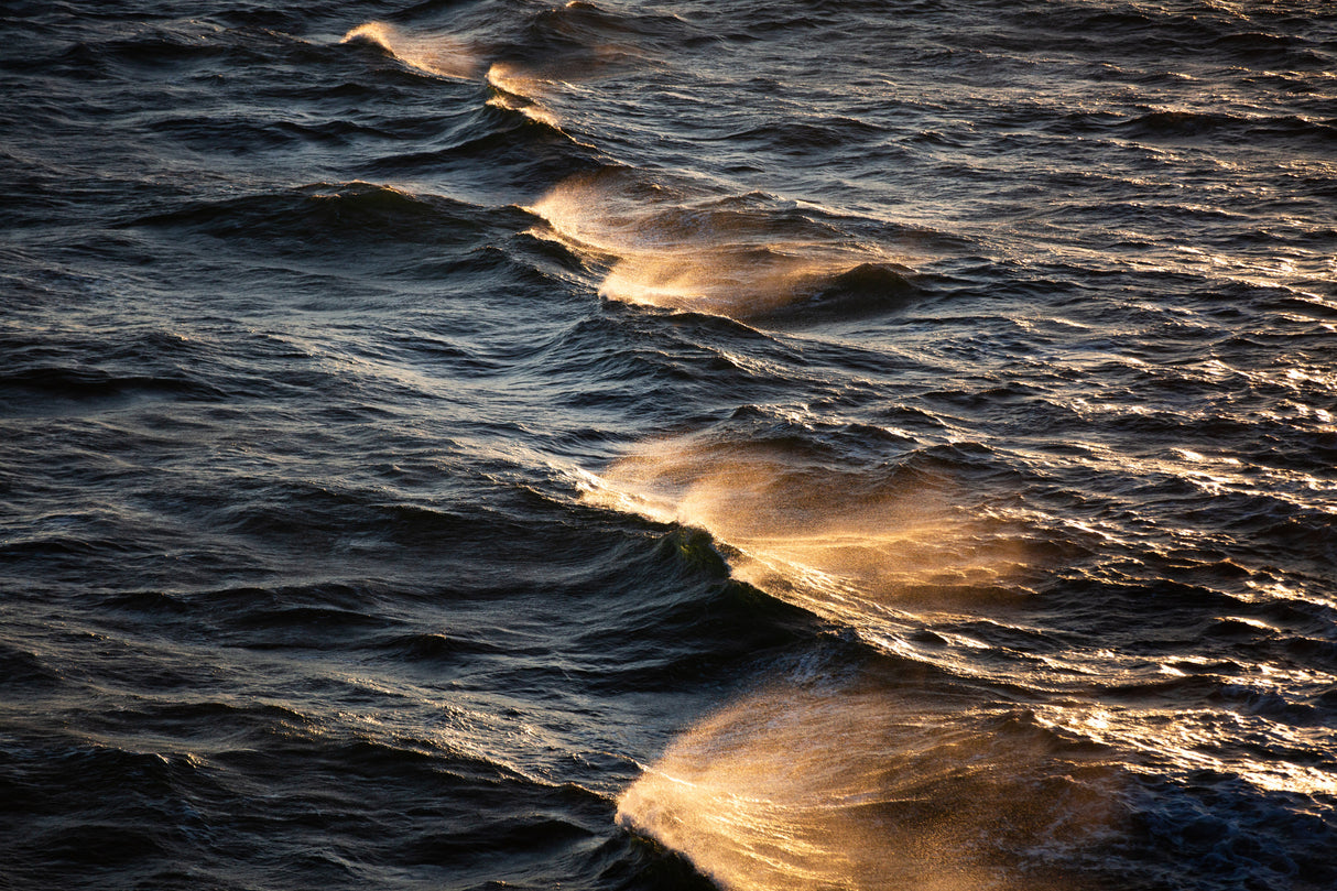 Sunkissed Waves Poster och Canvastavla
