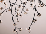 Minimalistic Branches Poster och Canvastavla