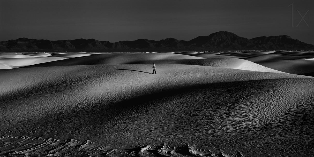 The loneliness of dusk ... Poster och Canvastavla