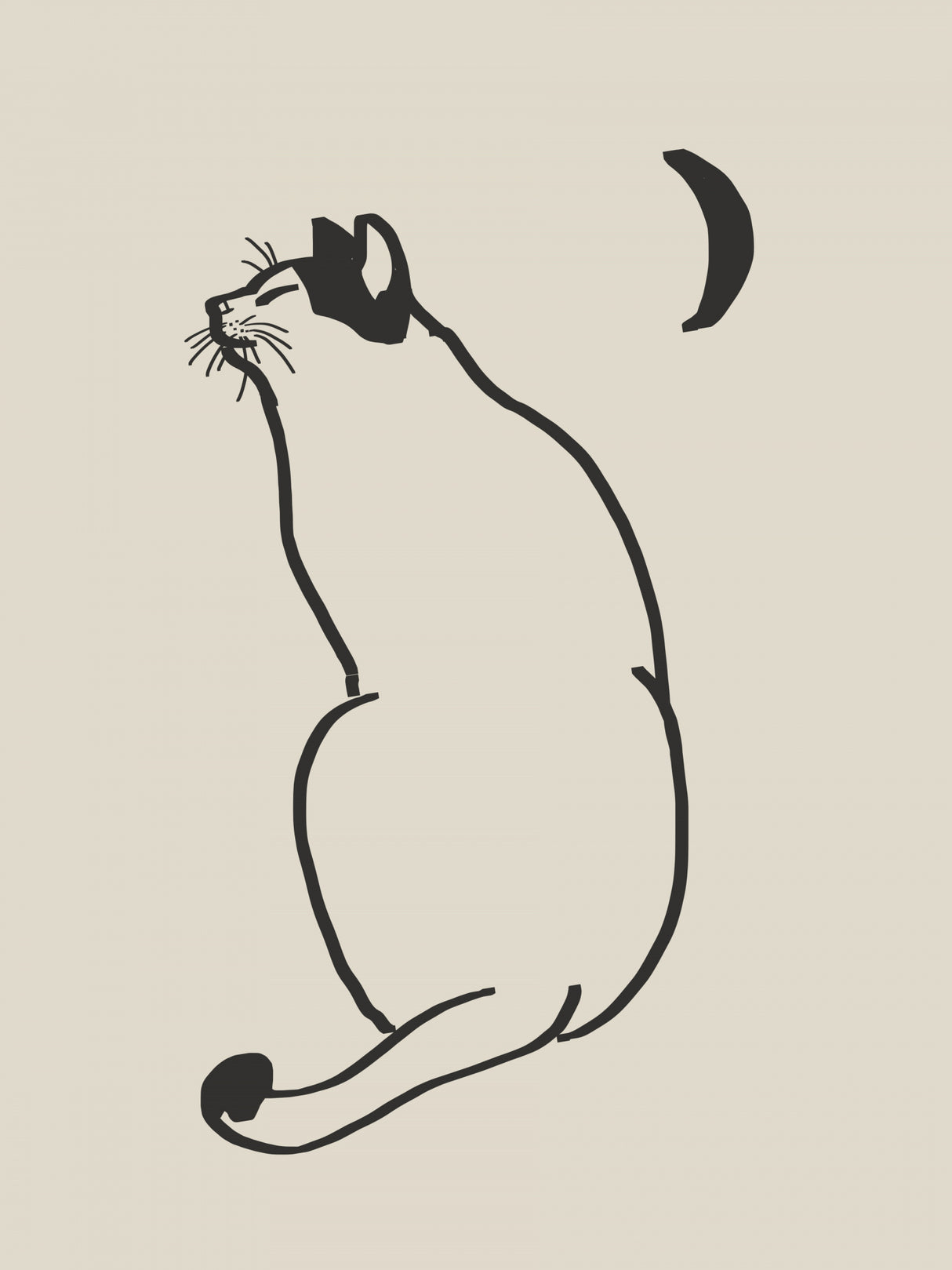 Line Art Cat Drawing 4 Poster och Canvastavla