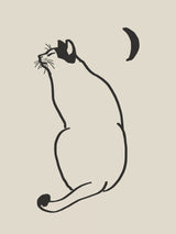 Line Art Cat Drawing 4 Poster och Canvastavla