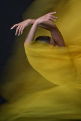 hallucination of a dance Poster och Canvastavla