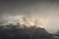 First Light of Winter Poster och Canvastavla