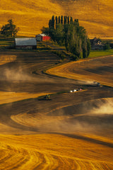 Busy Harvest Tractors Poster och Canvastavla