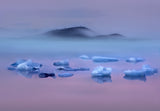 Pink Lake and photographers Poster och Canvastavla