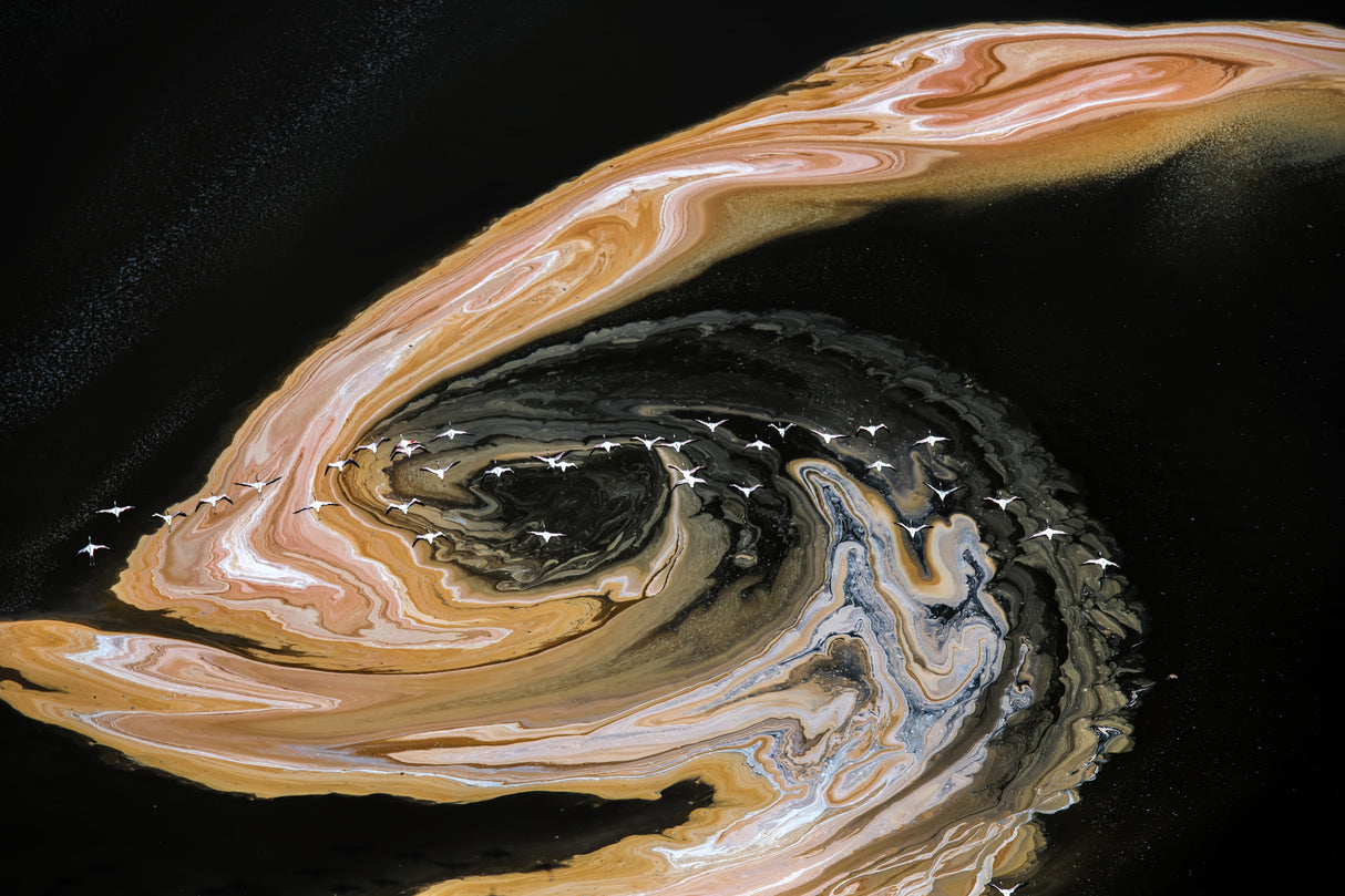 fly over the colorful swirl Poster och Canvastavla