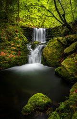 Cascade on White Opava Poster och Canvastavla