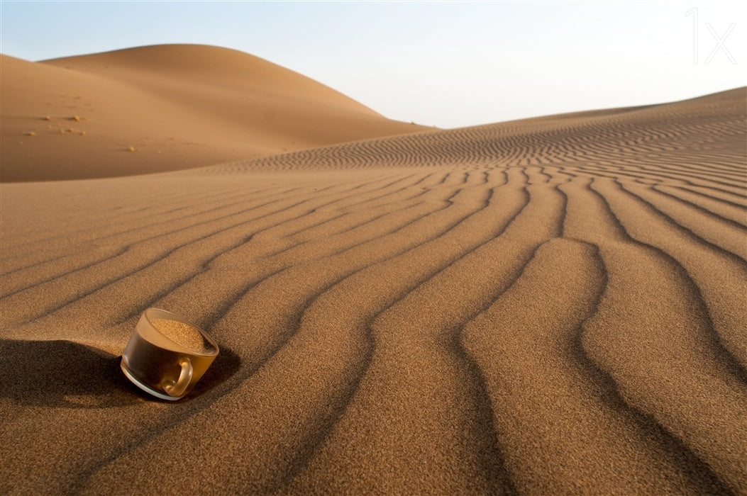The thirsty desert. Poster och Canvastavla