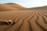 The thirsty desert. Poster och Canvastavla