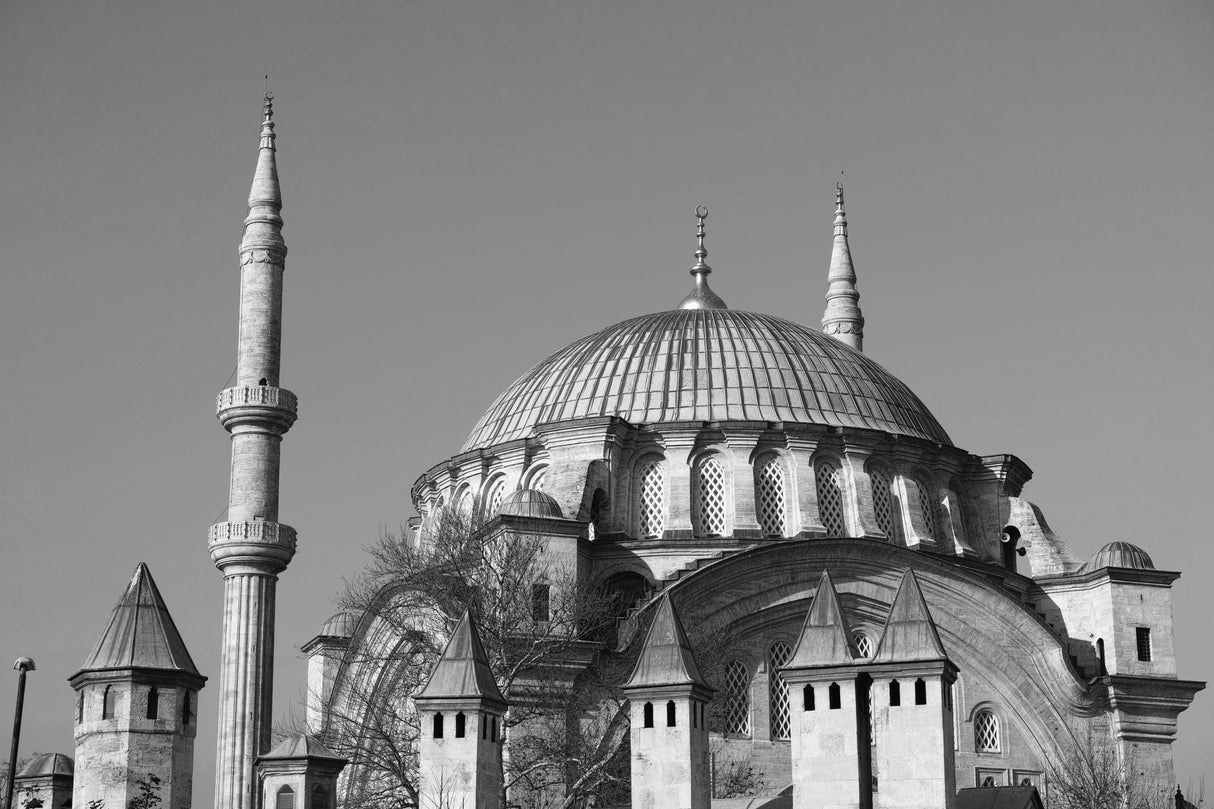 historical mosque from Istanbul, Turkey Poster och Canvastavla