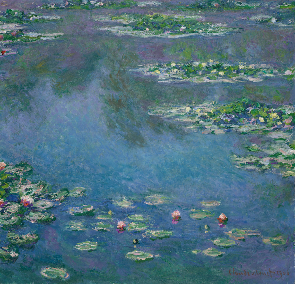 Water Lilies Poster och Canvastavla