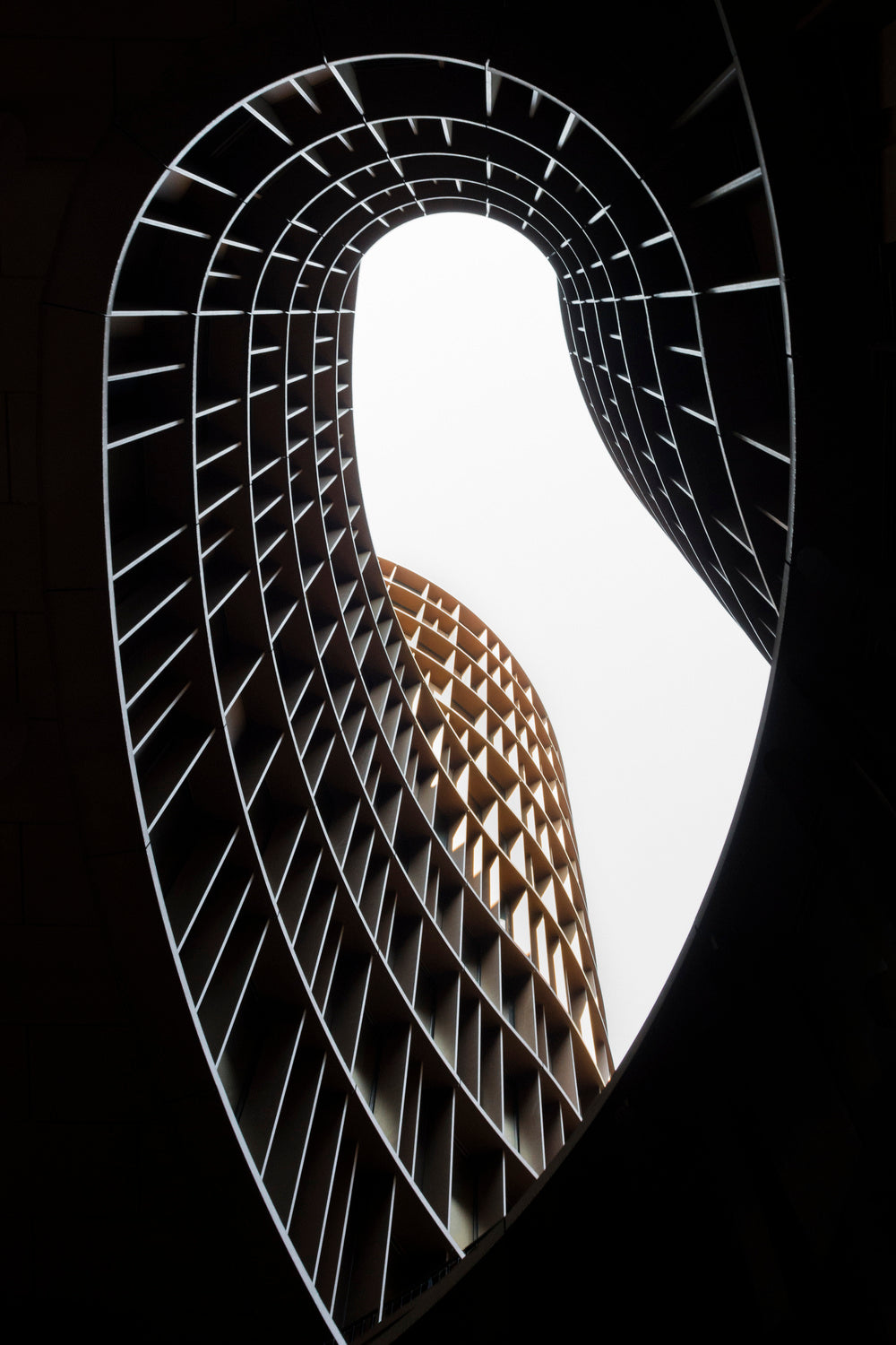 Axel Towers Lace Poster och Canvastavla