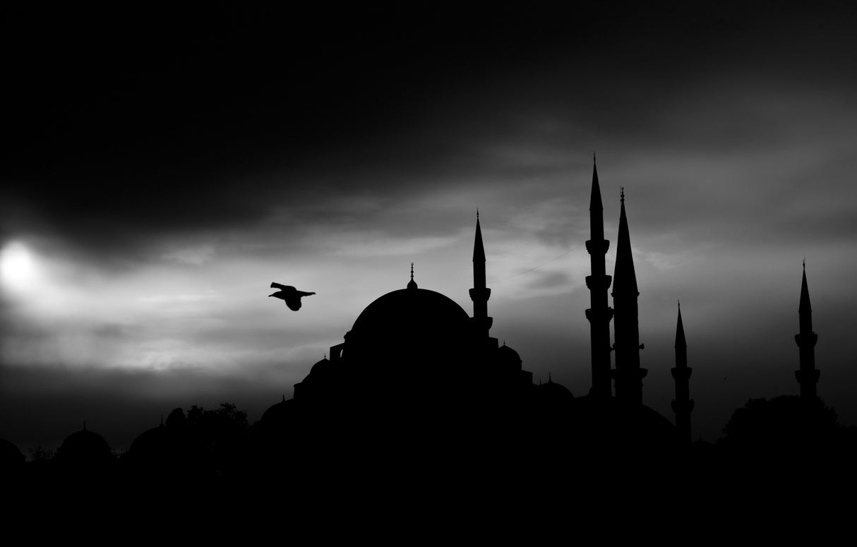 a historical mosque in Istanbul city Poster och Canvastavla