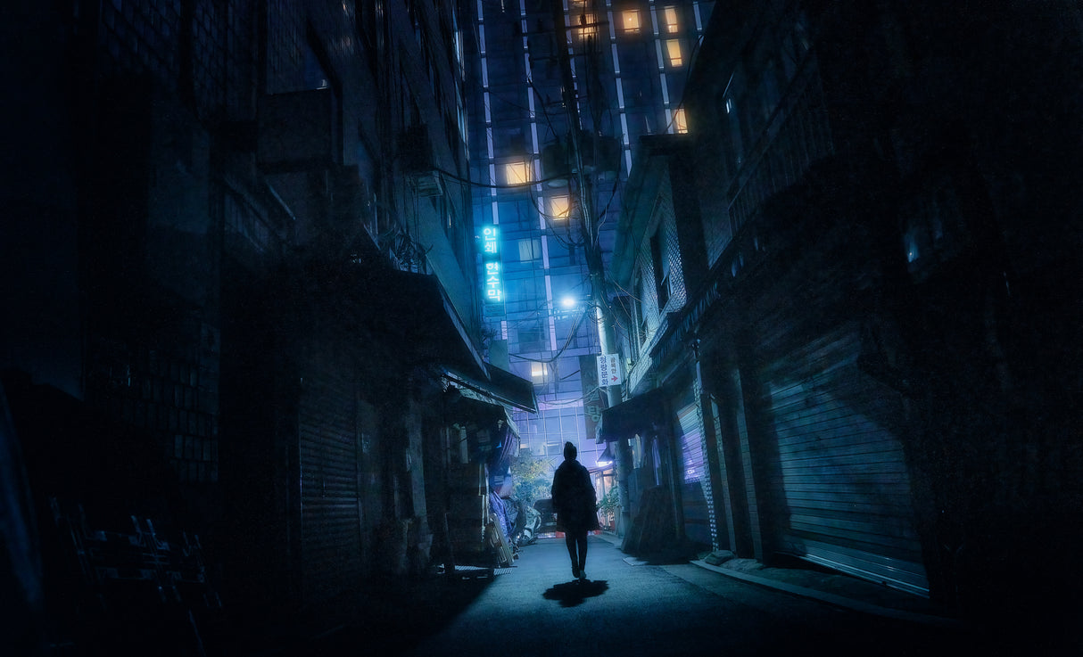 Seoul from Shadows Poster och Canvastavla