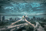 Miami city diver Poster och Canvastavla