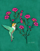 Hummingbird   Erum Khalili.png Poster och Canvastavla