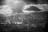 Backlit Cheetah Poster och Canvastavla