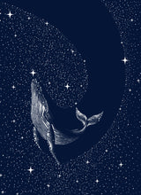 Starry Whale Poster och Canvastavla