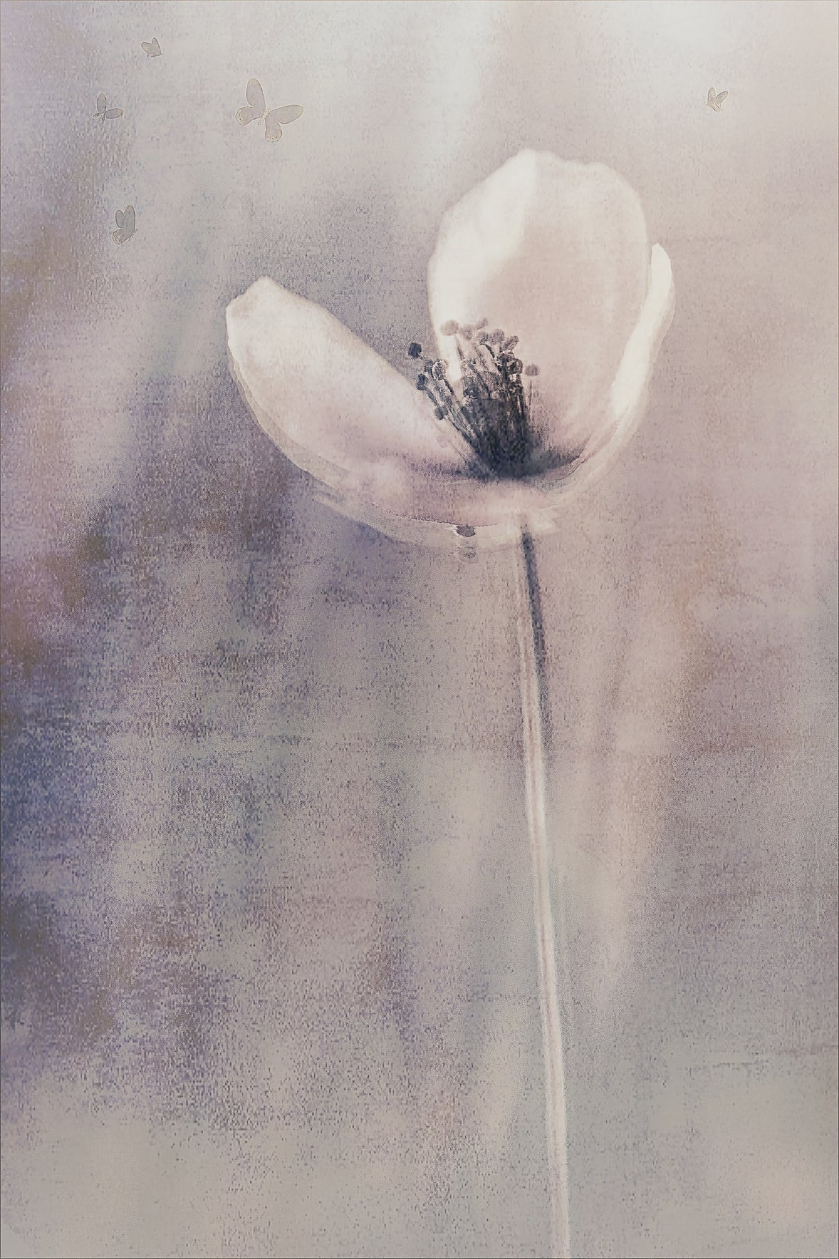 Fading Into Oblivion Poster och Canvastavla