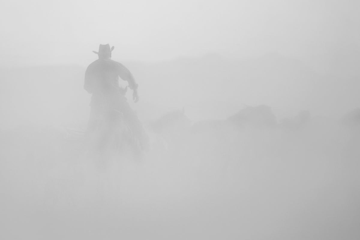 cowboy Poster och Canvastavla