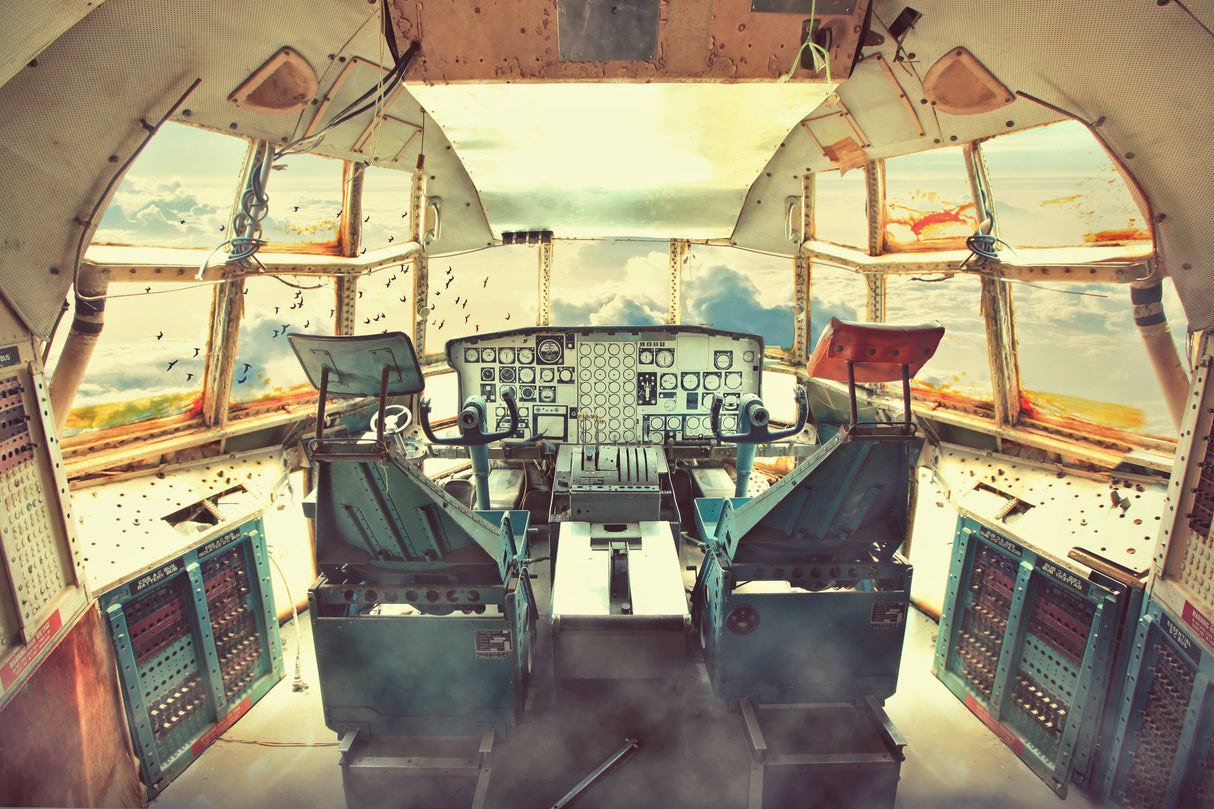 flying dead plane Poster och Canvastavla