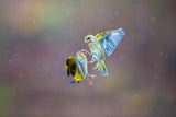 Fight in the rainbow Poster och Canvastavla