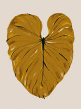 Philodendron Gloriosum Mustard Poster och Canvastavla