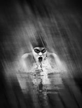 Swimming speed Poster och Canvastavla