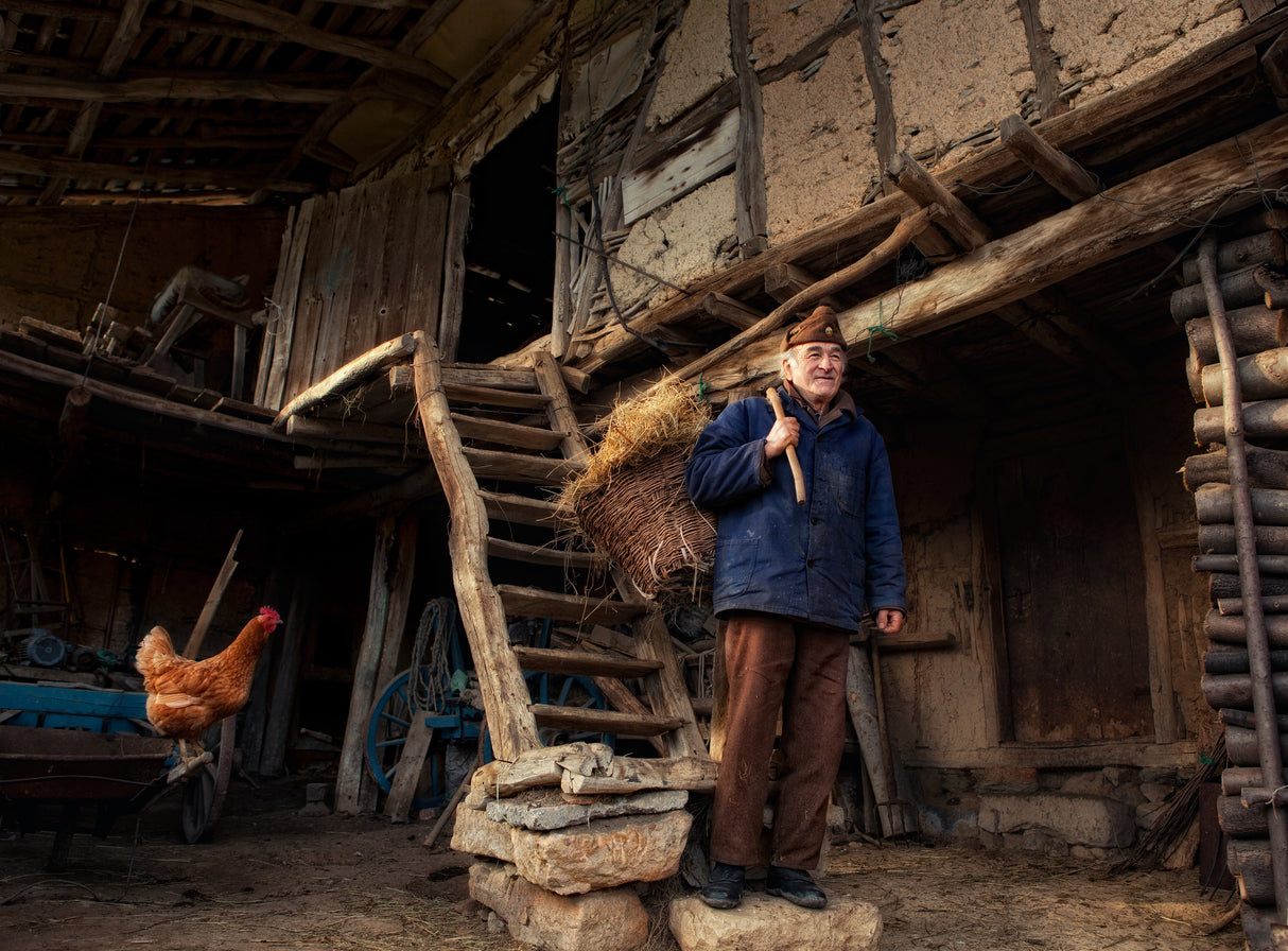 Village life Poster och Canvastavla