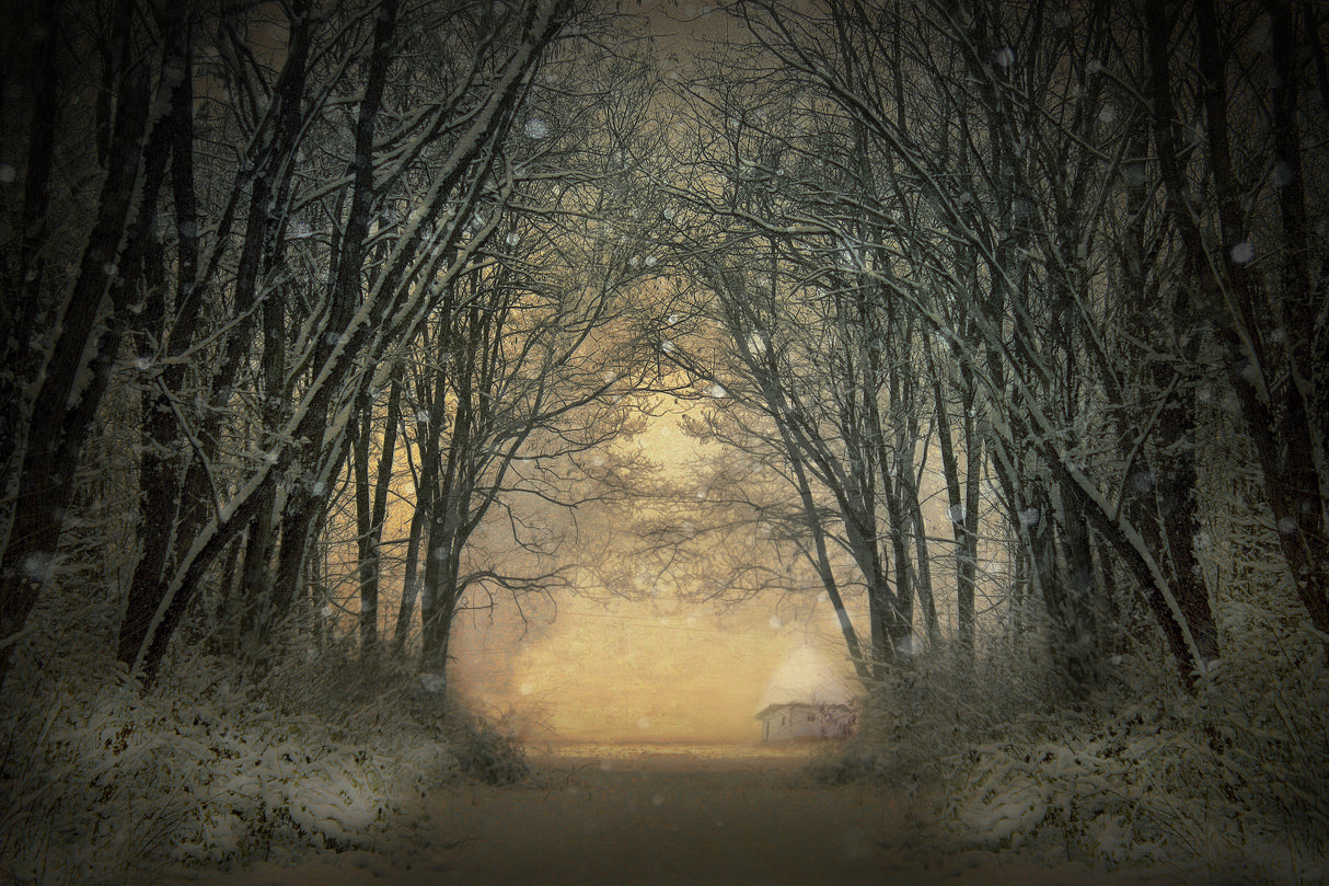 WINTER STORY Poster och Canvastavla