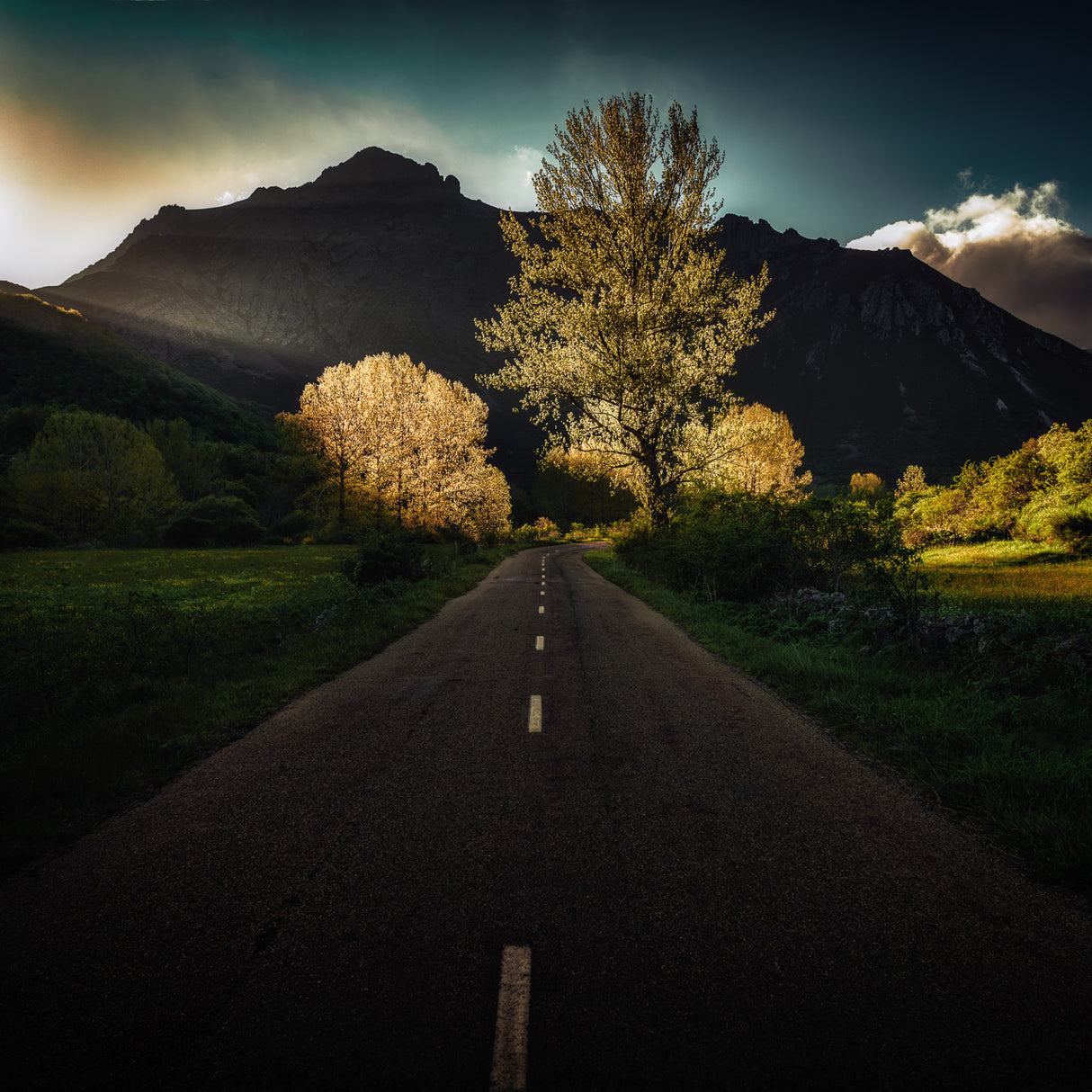 sunset on the road Poster och Canvastavla