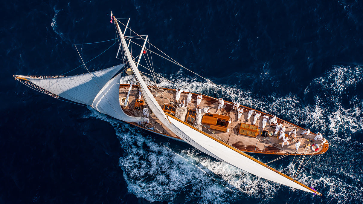 Moonbeam race Poster och Canvastavla