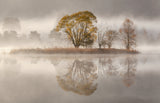 Misty morning Poster och Canvastavla
