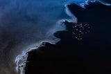 Flying over the Salt Lake Poster och Canvastavla