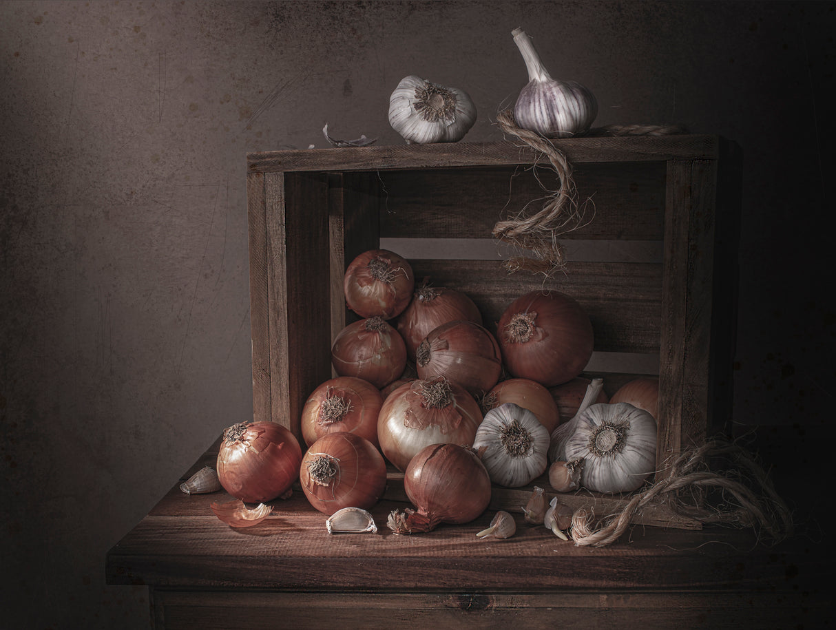 Onion and garlic Poster och Canvastavla