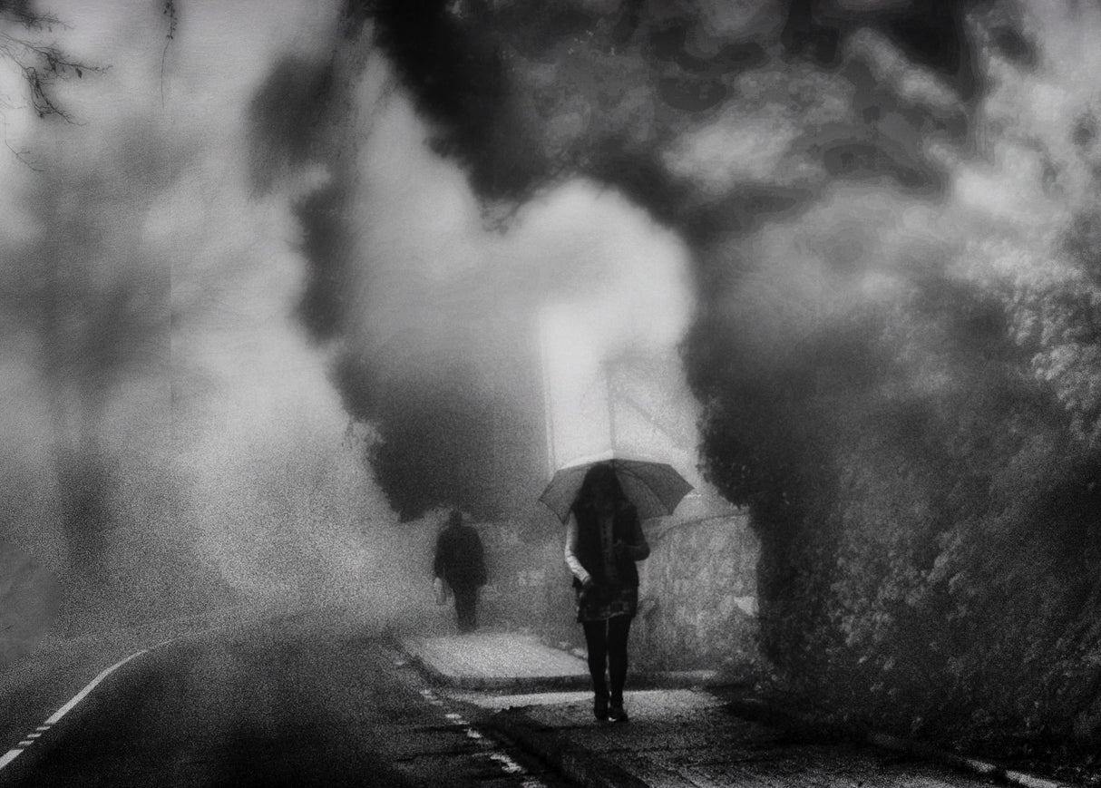 Walking in the Fog Poster och Canvastavla