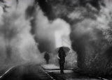 Walking in the Fog Poster och Canvastavla