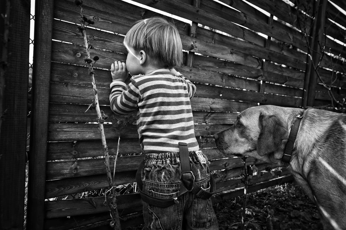 the world from behind the fence Poster och Canvastavla