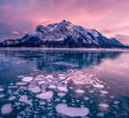 Ice Bubble Poster och Canvastavla