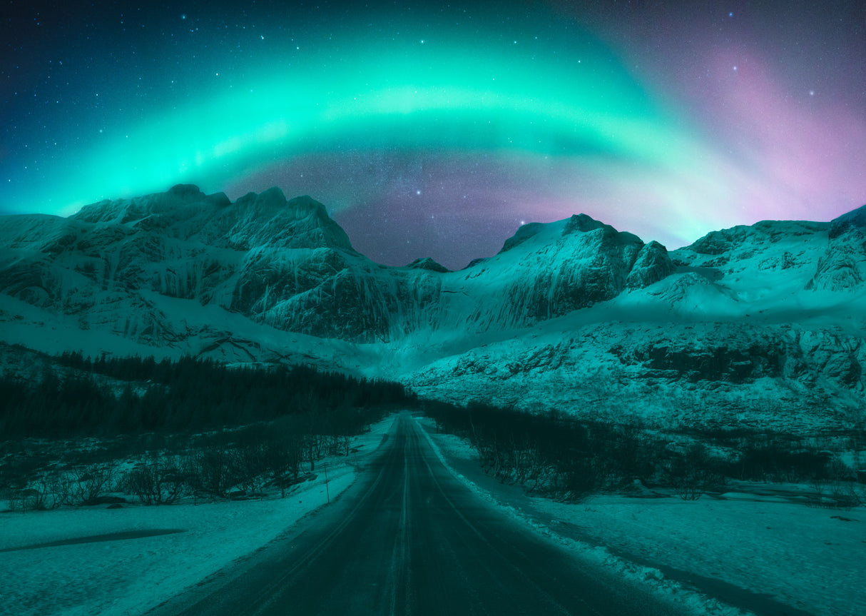 the road Poster och Canvastavla